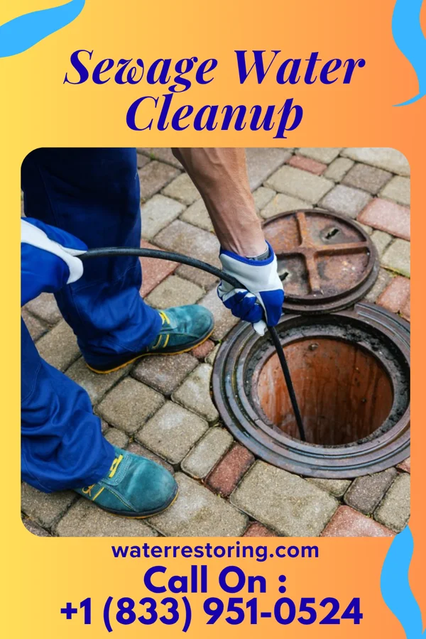 Sewage Water Cleanup in Barnes City, IA